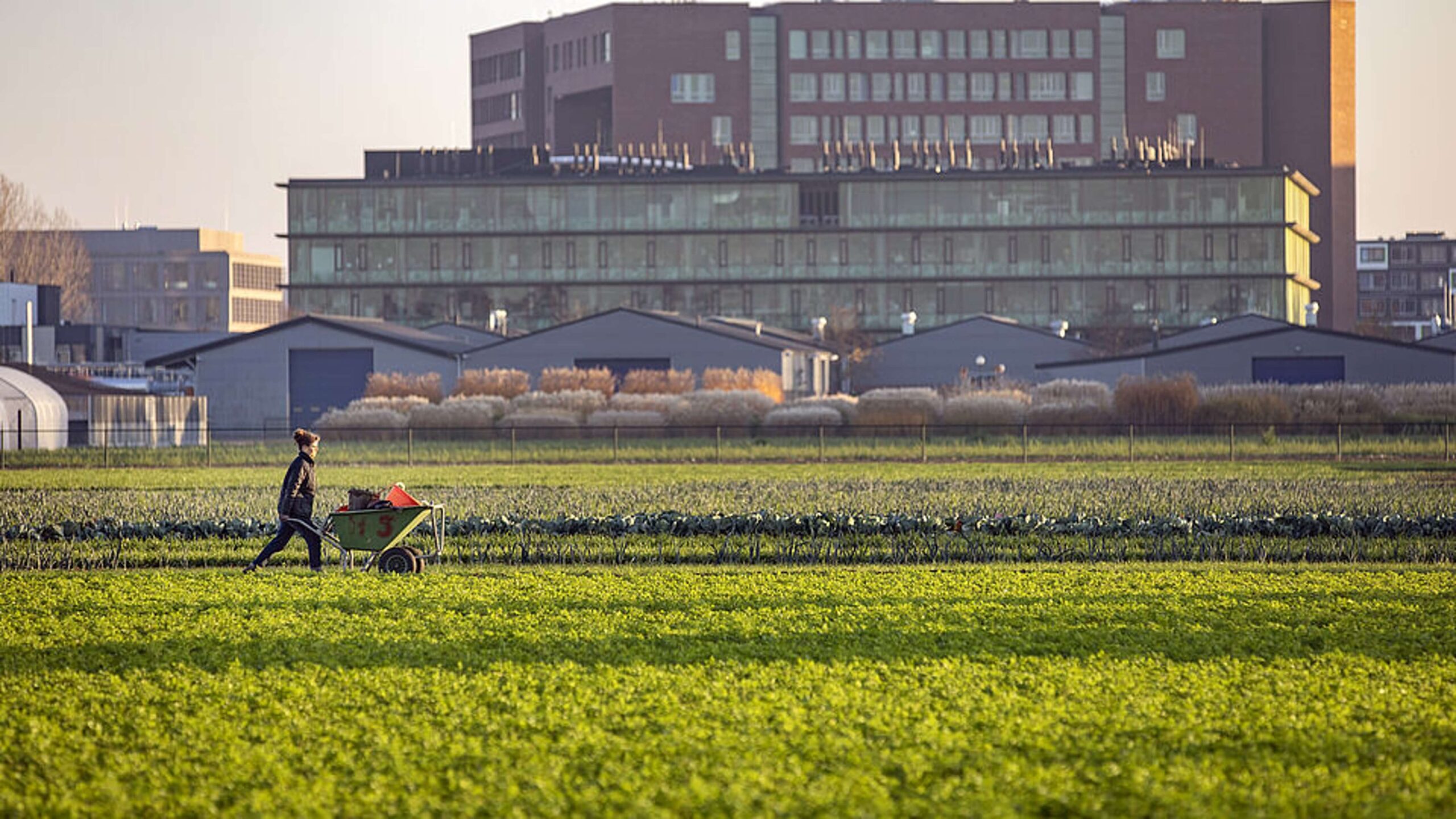 Oprichting GR jeugdhulpregio FoodValley