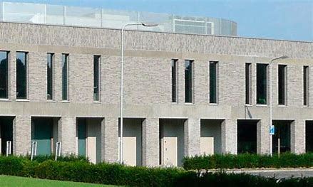 Organisatie ontwikkeling en capaciteitsanalyses Stein