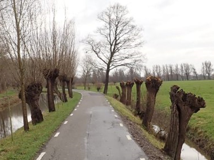 Samenwerking Woerden–Oudewater: evaluatie en verbeterplan